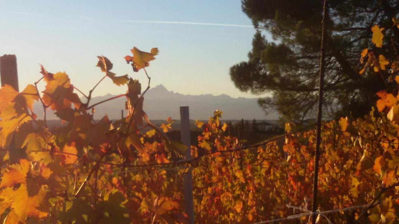 Cascina Torello Dogliani Luaran gambar