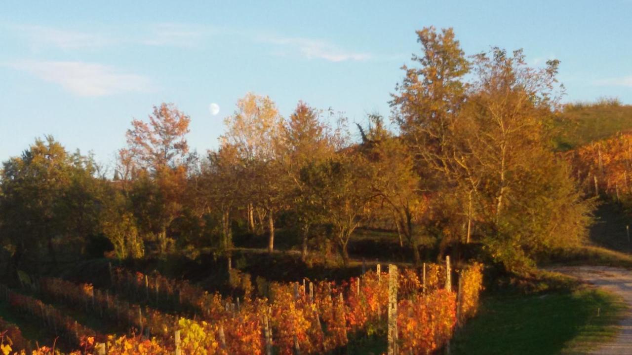 Cascina Torello Dogliani Luaran gambar