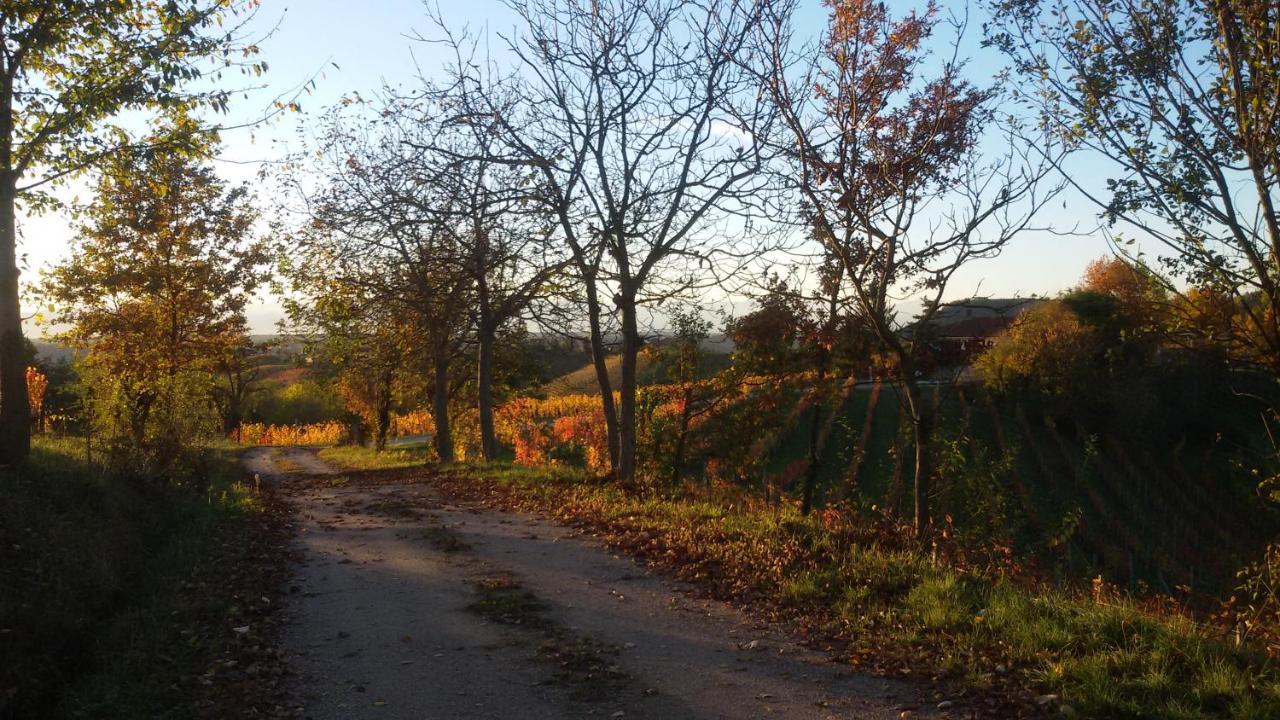 Cascina Torello Dogliani Luaran gambar
