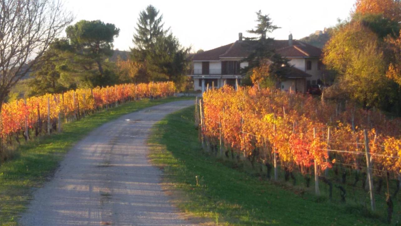 Cascina Torello Dogliani Luaran gambar