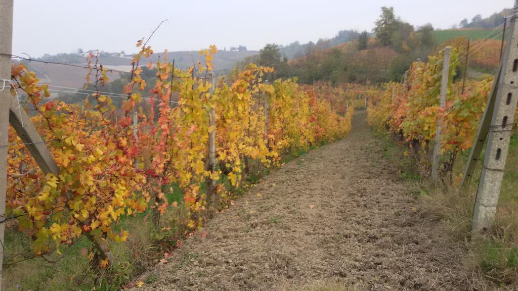 Cascina Torello Dogliani Luaran gambar