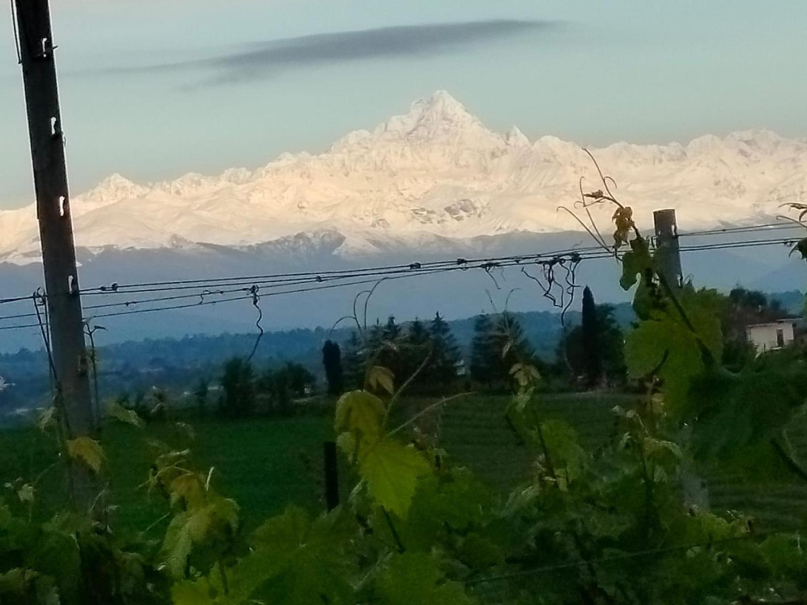 Cascina Torello Dogliani Luaran gambar