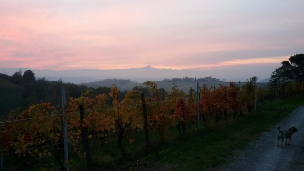 Cascina Torello Dogliani Luaran gambar