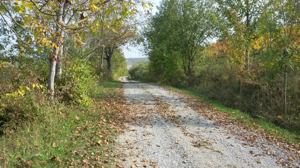 Cascina Torello Dogliani Luaran gambar