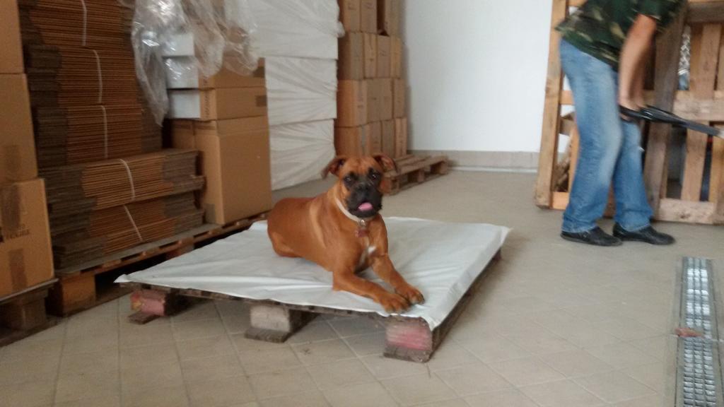 Cascina Torello Dogliani Luaran gambar