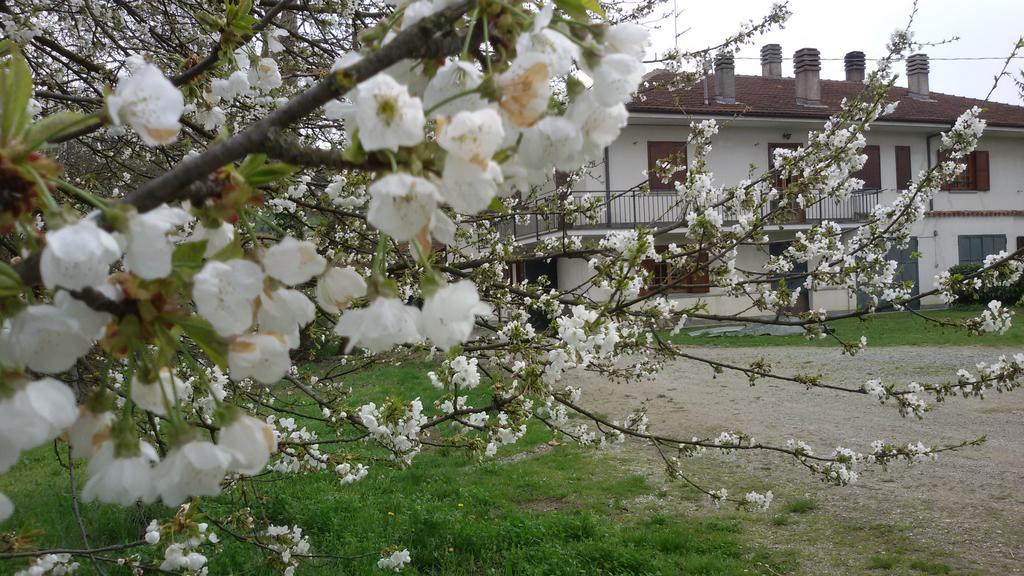 Cascina Torello Dogliani Luaran gambar