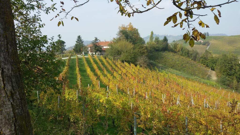 Cascina Torello Dogliani Luaran gambar