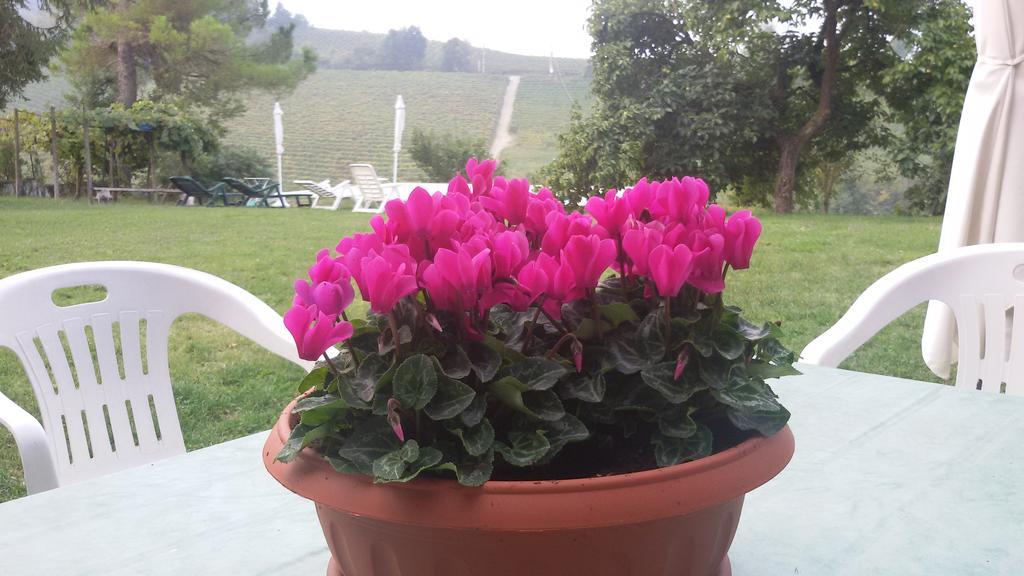 Cascina Torello Dogliani Luaran gambar