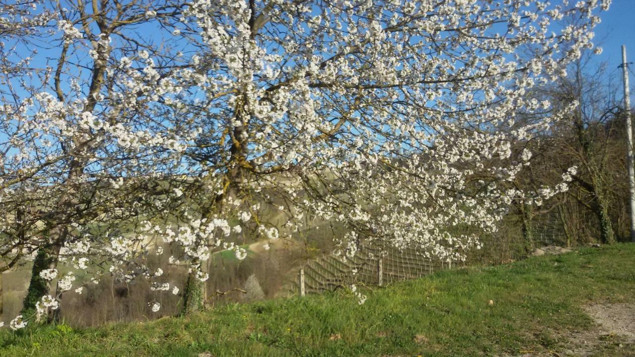 Cascina Torello Dogliani Luaran gambar