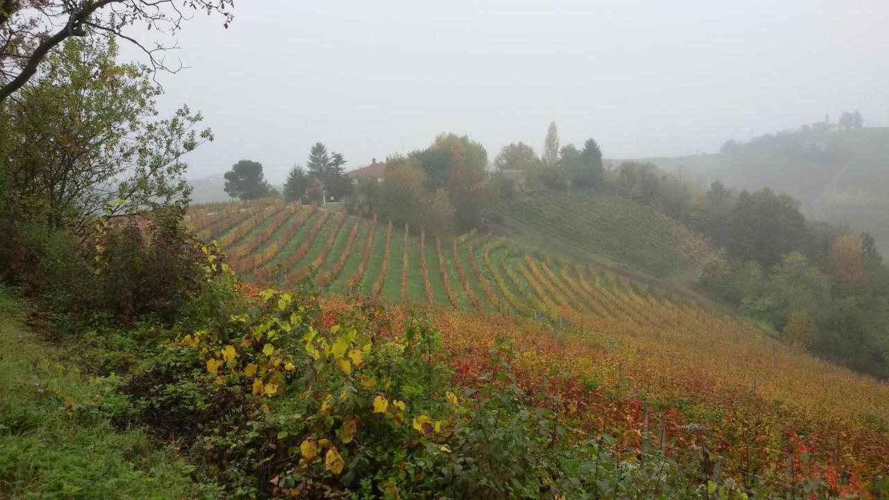 Cascina Torello Dogliani Luaran gambar