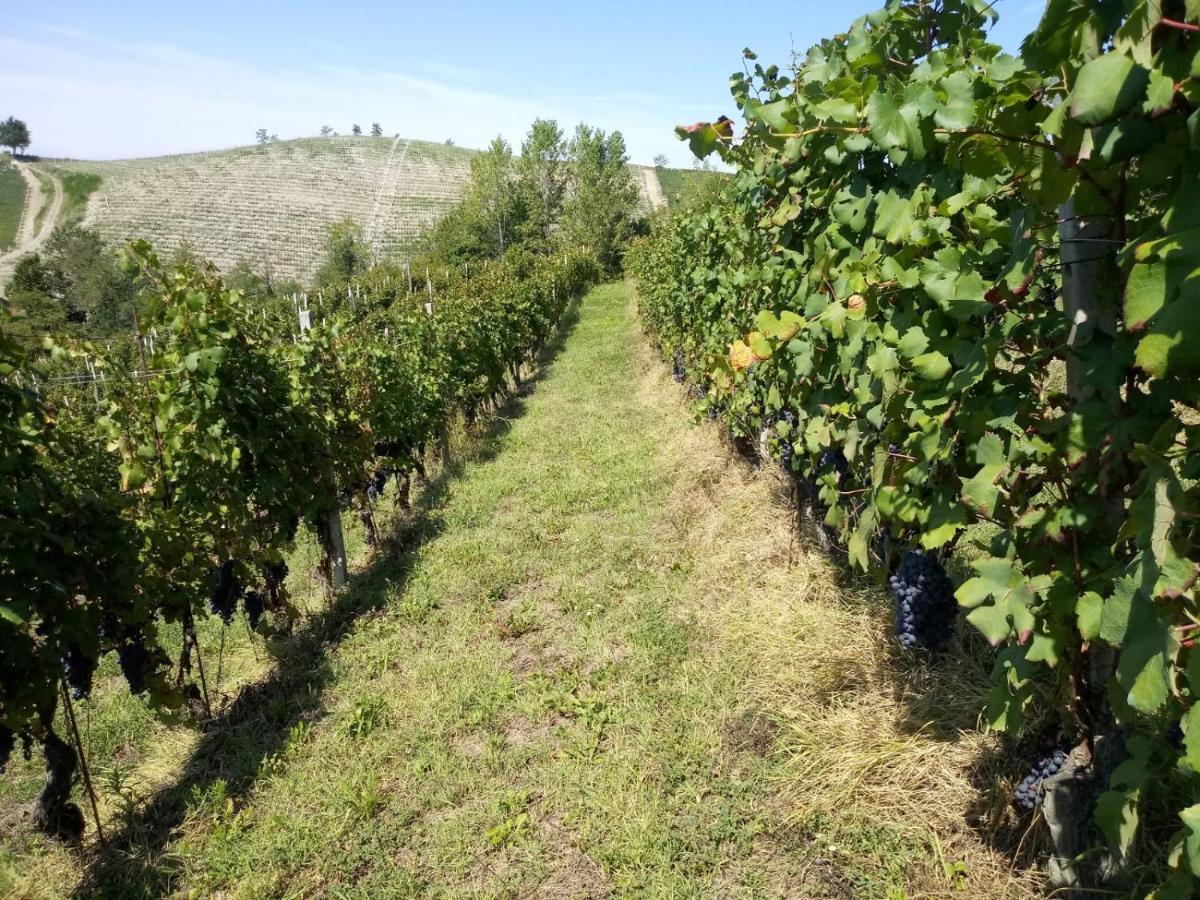 Cascina Torello Dogliani Luaran gambar