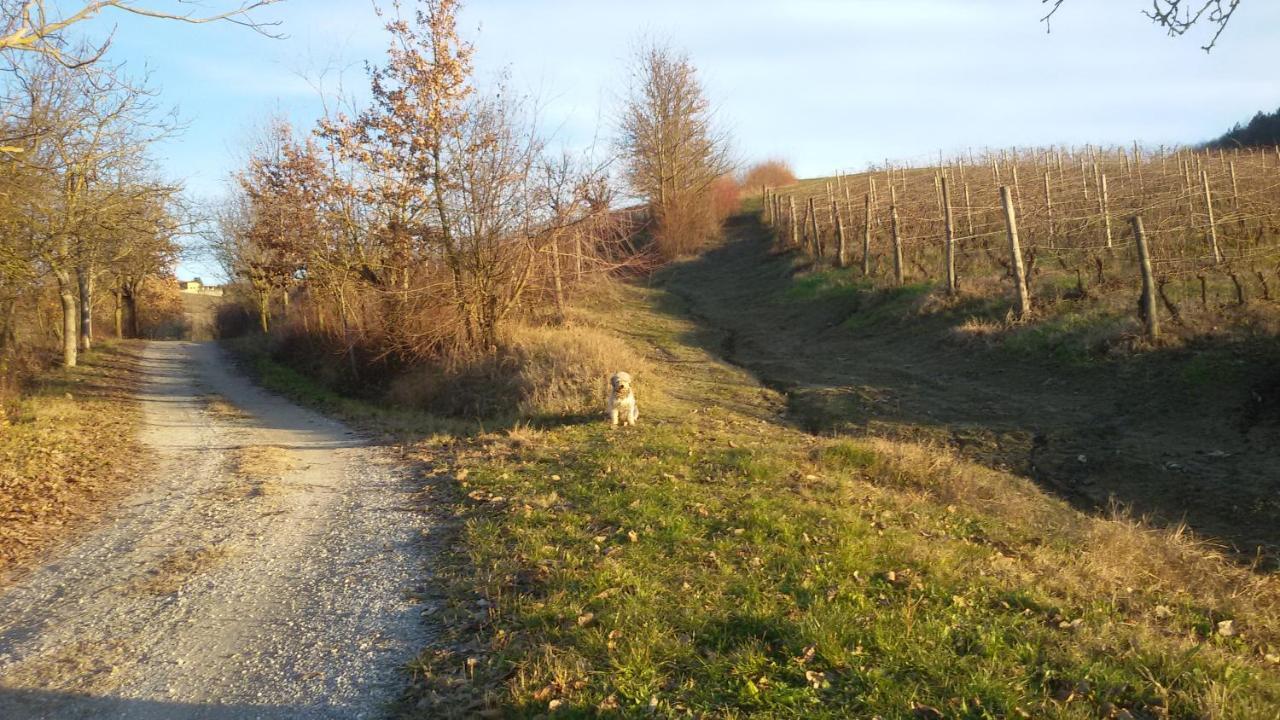 Cascina Torello Dogliani Luaran gambar